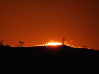The Sun