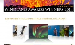 Washington DC, Award 2015