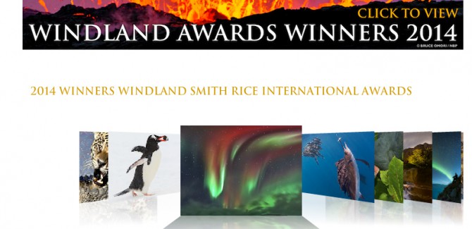 Washington DC, Award 2015